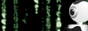Web 1.0
